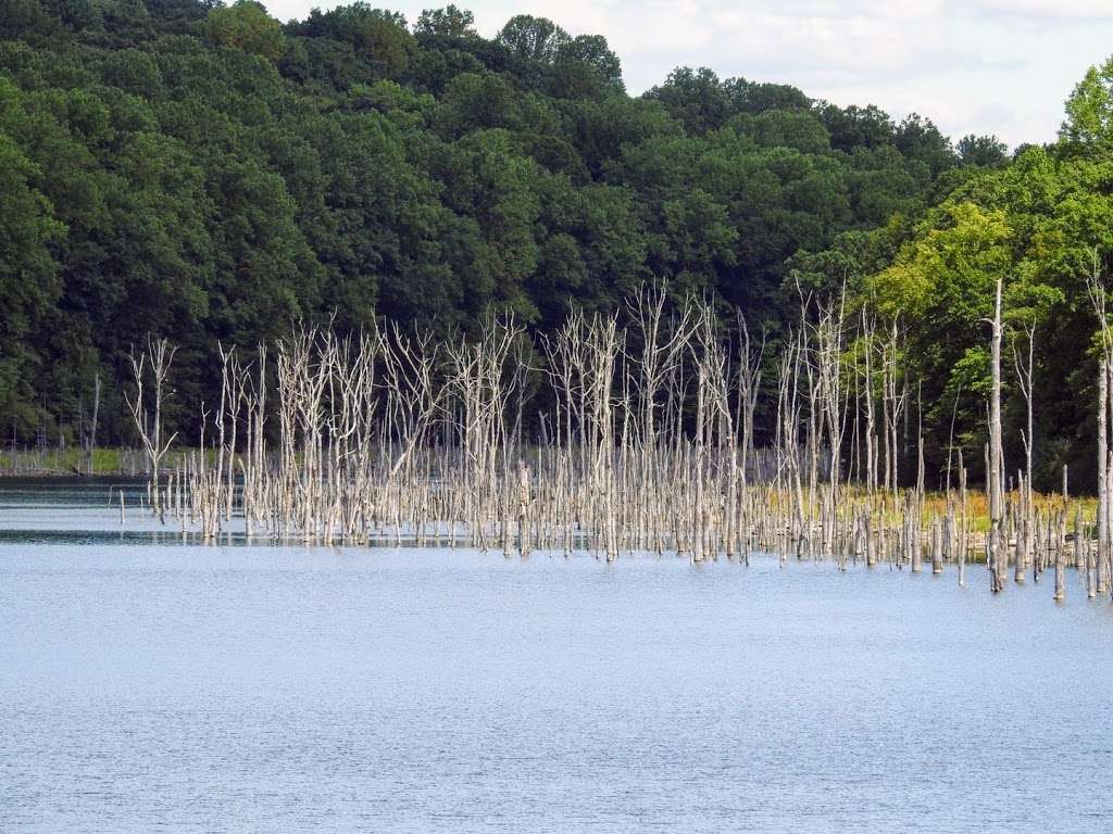 Merrill Creek Reservoir I/O tower | 200 Fox Farm Rd, Phillipsburg, NJ 08865, USA