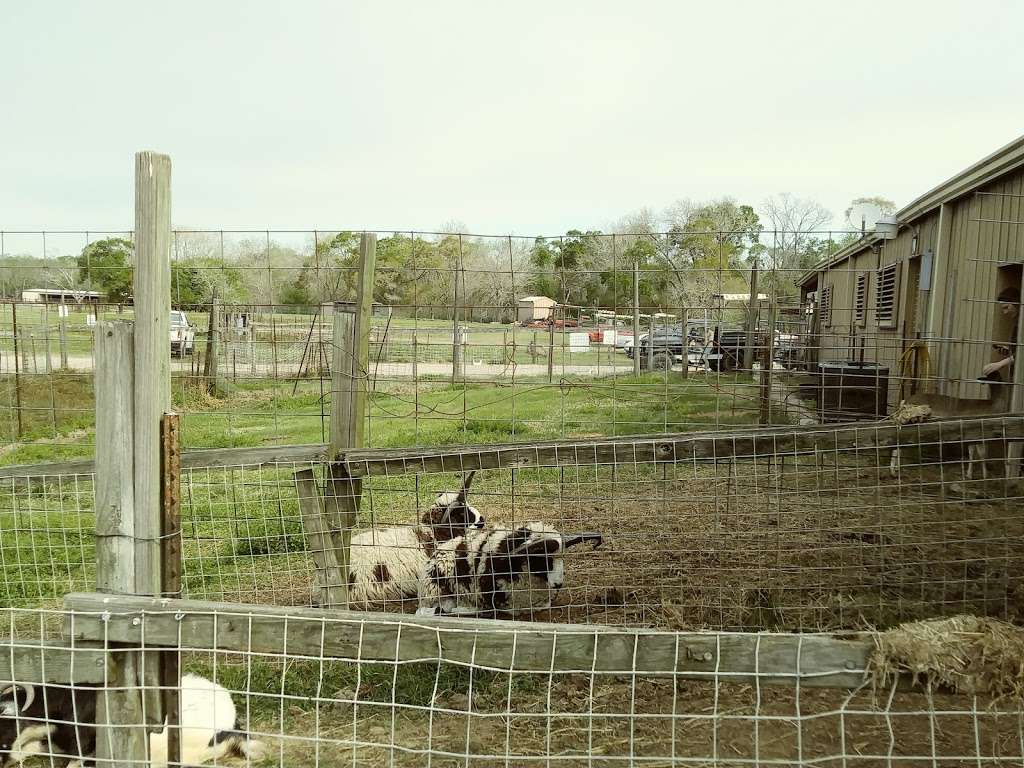 Bayou Wildlife Zoo | 5050 FM517, Dickinson, TX 77539, USA | Phone: (281) 337-6376