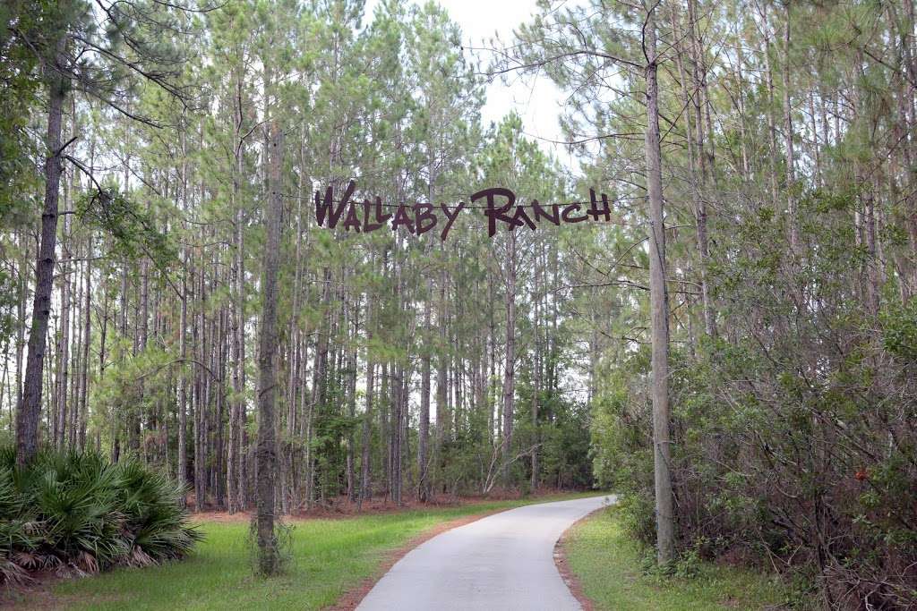 Wallaby Ranch | 1805 Deen Still Rd, Davenport, FL 33897, USA | Phone: (863) 424-0070