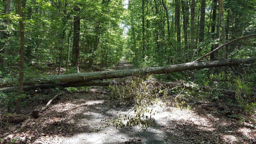 Dahlgren Railroad Heritage Trail | King George Rail Trail, King George, VA 22485, USA