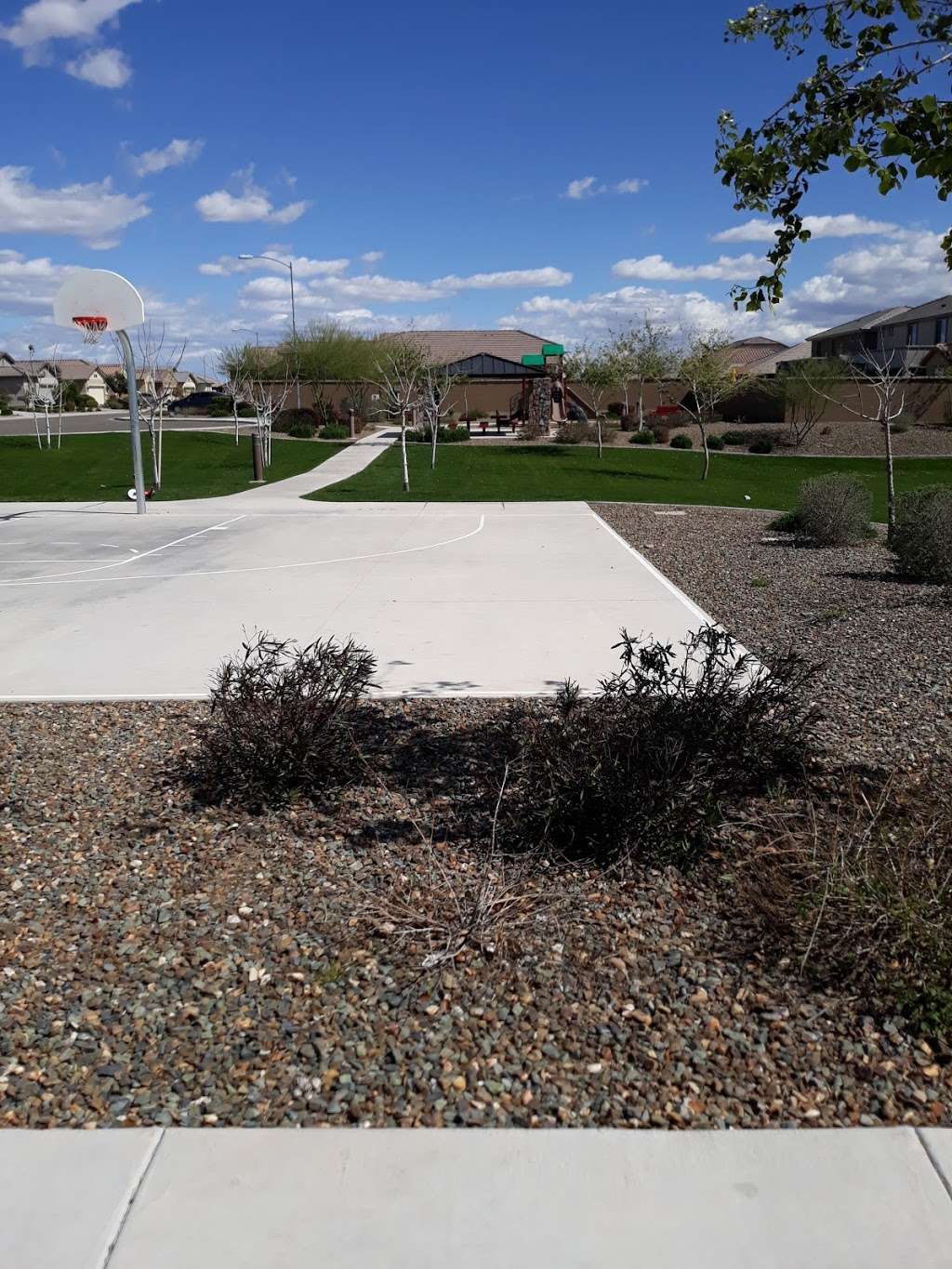 Three Olive Park HOA Park | Peoria, AZ 85345, USA