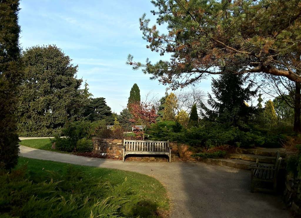 Dwarf Conifer Garden | Glencoe, IL 60022