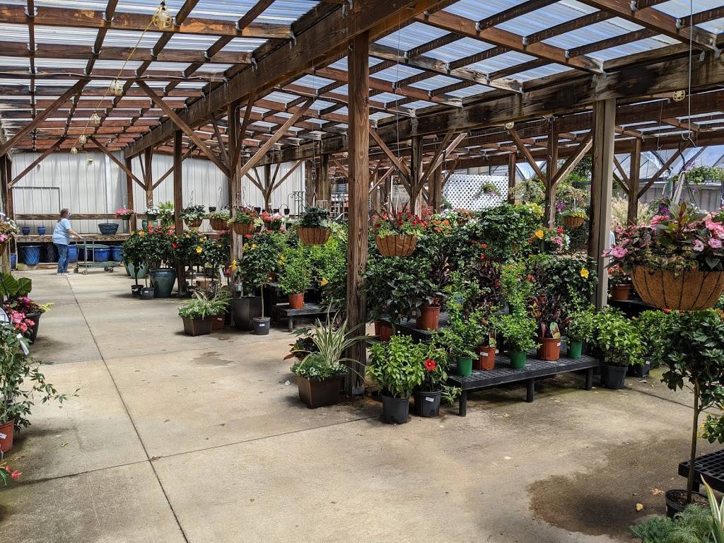 Fairview Garden Center | 8224 Holly Springs Rd, Raleigh, NC 27606, USA | Phone: (919) 851-6821