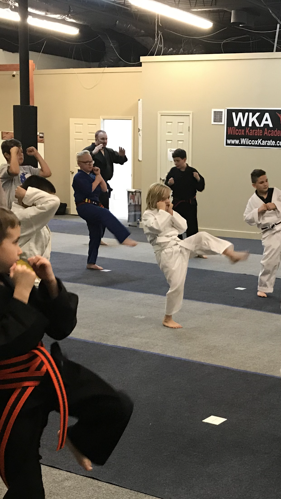 Wilcox Karate Academy | 1600 S Noland Rd, Independence, MO 64055, USA | Phone: (816) 659-7777