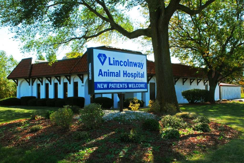 Lincolnway Animal Hospital | 6363 Lincoln Hwy, Matteson, IL 60443 | Phone: (708) 720-2400