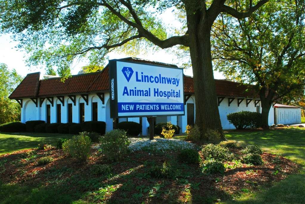 Lincolnway Animal Hospital | 6363 Lincoln Hwy, Matteson, IL 60443, USA | Phone: (708) 720-2400