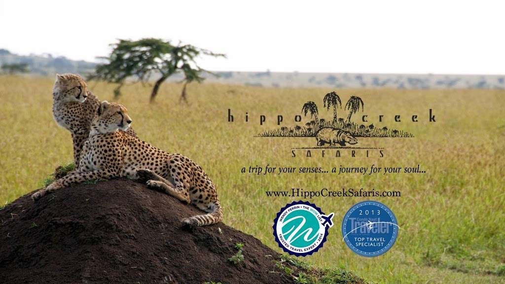 Hippo Creek Safaris | 7 Overlook Dr, Woodcliff Lake, NJ 07677, USA | Phone: (866) 930-9124