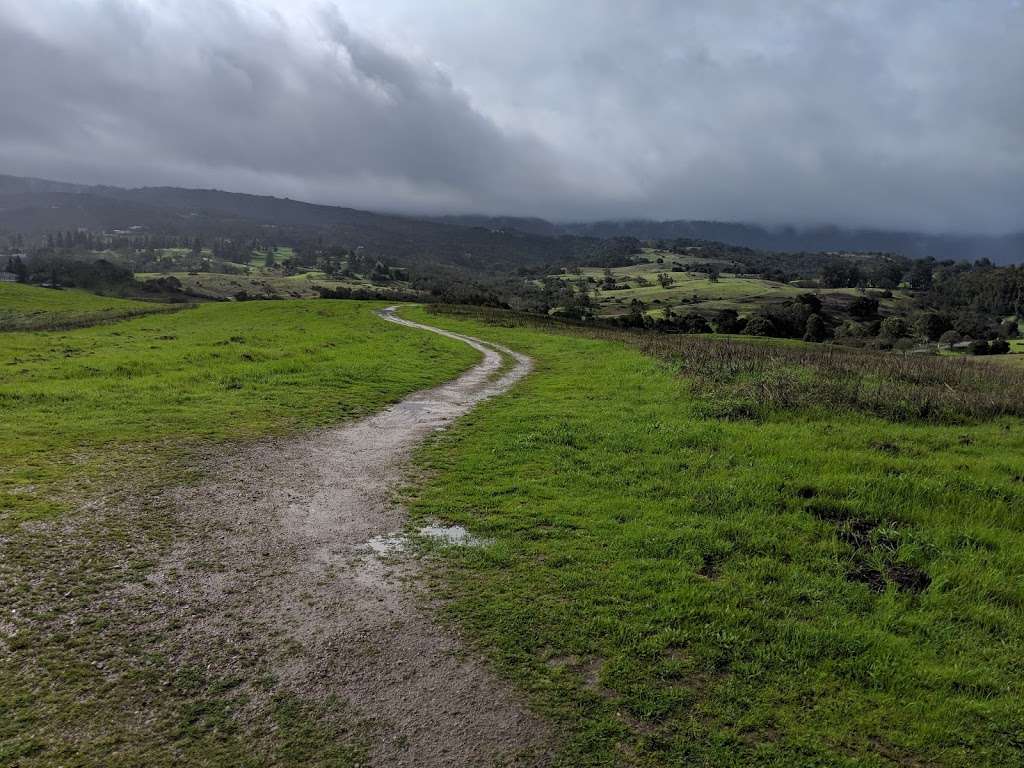 Arastradero Preserve Loop Vista Point | Arastradero Creek Trail, Palo Alto, CA 94304, USA | Phone: (650) 329-2423