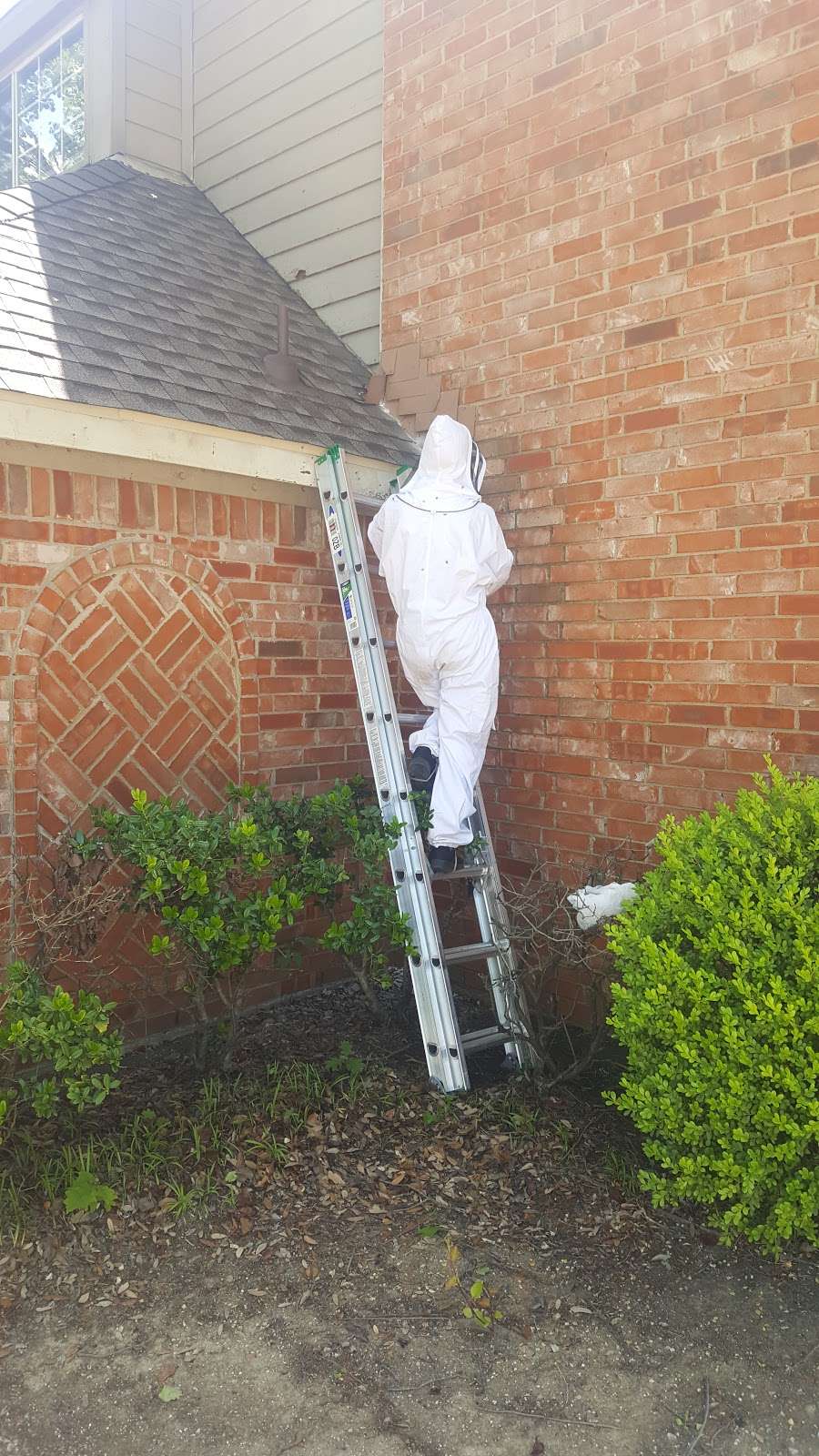 Bee Busters DFW Bee Removal | 730 Judy Ln, Seagoville, TX 75159 | Phone: (972) 581-9777