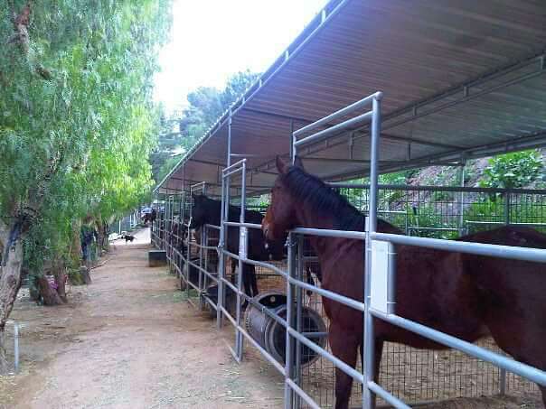 Cherokee Ranch Horse Barn | 9959 Rancho Caballo Dr, Sunland-Tujunga, CA 91040, USA | Phone: (818) 353-4825