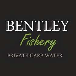 Bentley Fishery - Carp Lake | Mores Ln, Brentwood CM14 5RU, UK | Phone: 07939 074089