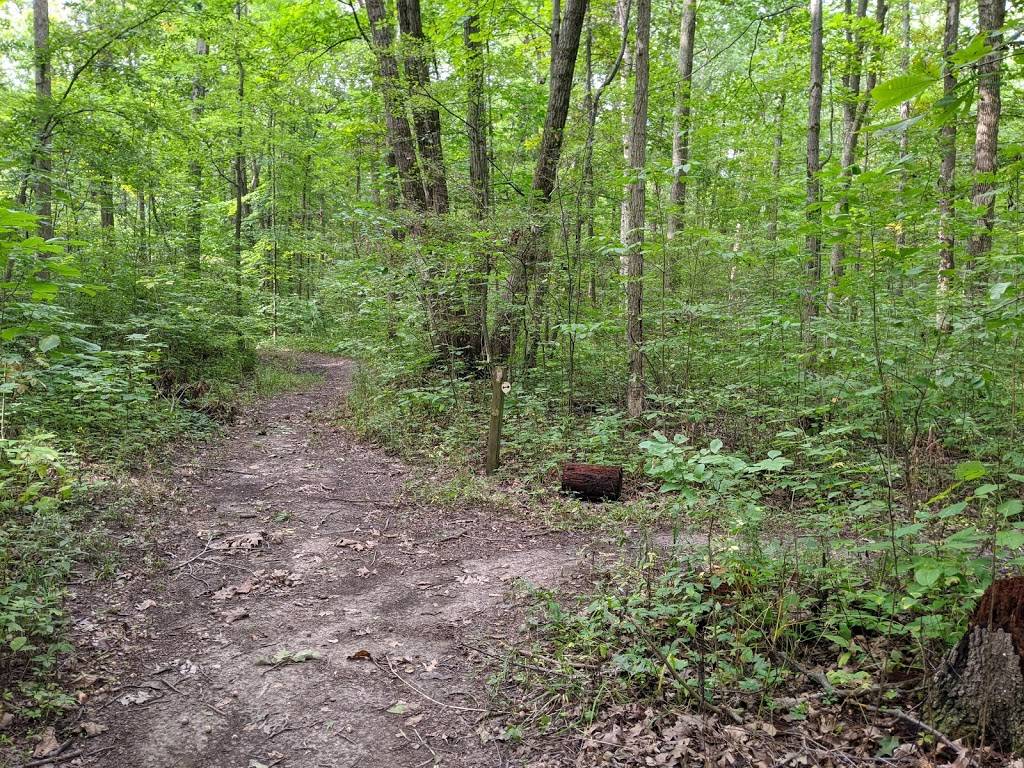 Spring Lake Woods and Bog- Acres Land Trust | 12905 Lake Everett Dr, Fort Wayne, IN 46818, USA | Phone: (260) 637-2273