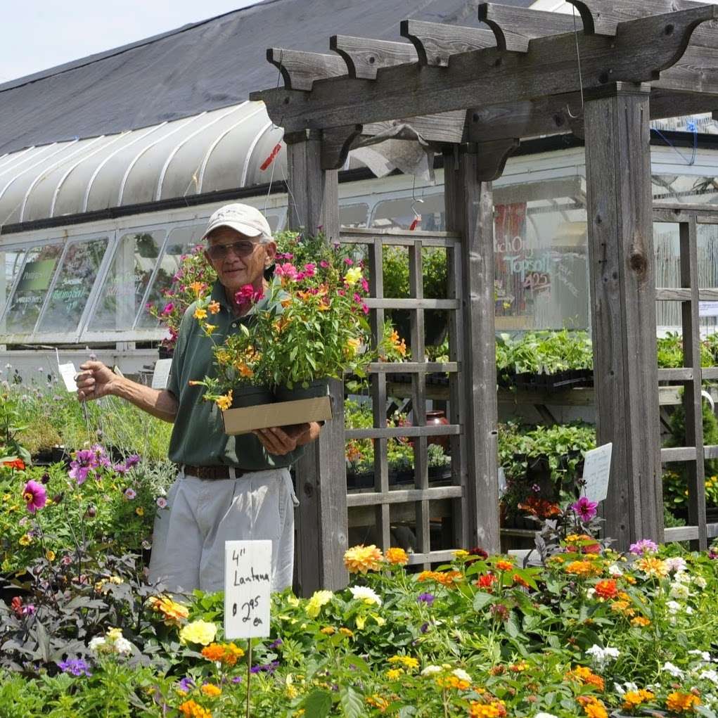 Abernethy & Spencer Greenhouse and Garden Center | 18035 Lincoln Rd, Purcellville, VA 20132, USA | Phone: (540) 338-9118