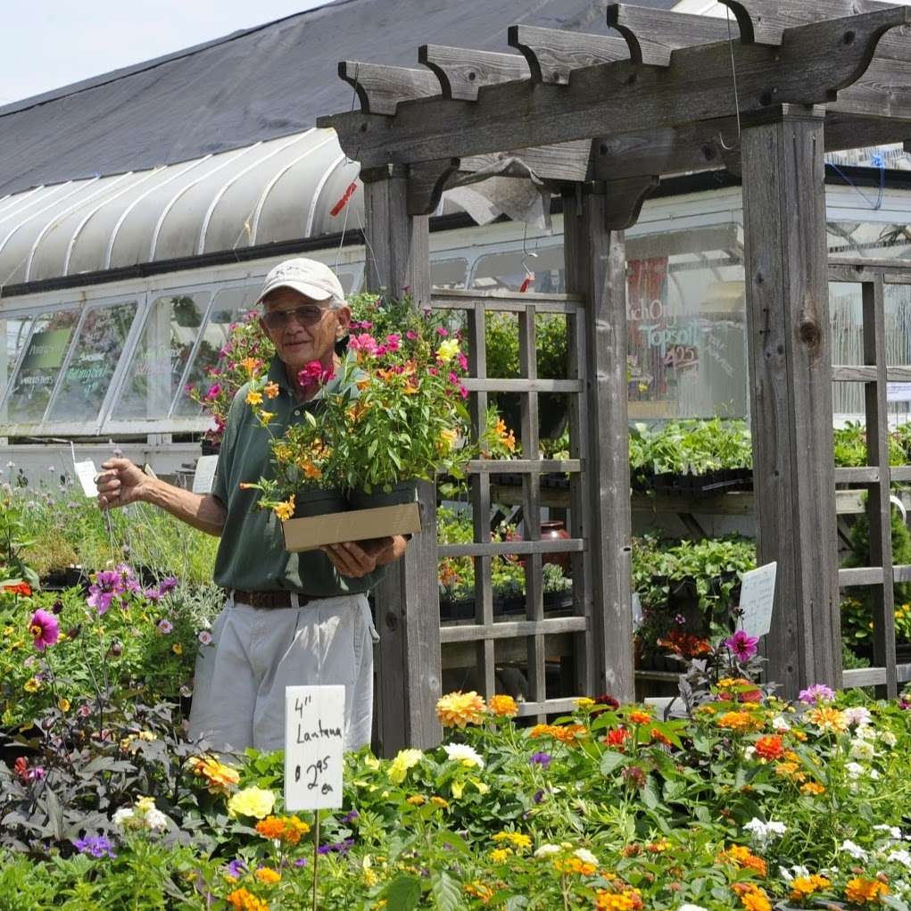 Abernethy & Spencer Greenhouse and Garden Center | 18035 Lincoln Rd, Purcellville, VA 20132 | Phone: (540) 338-9118