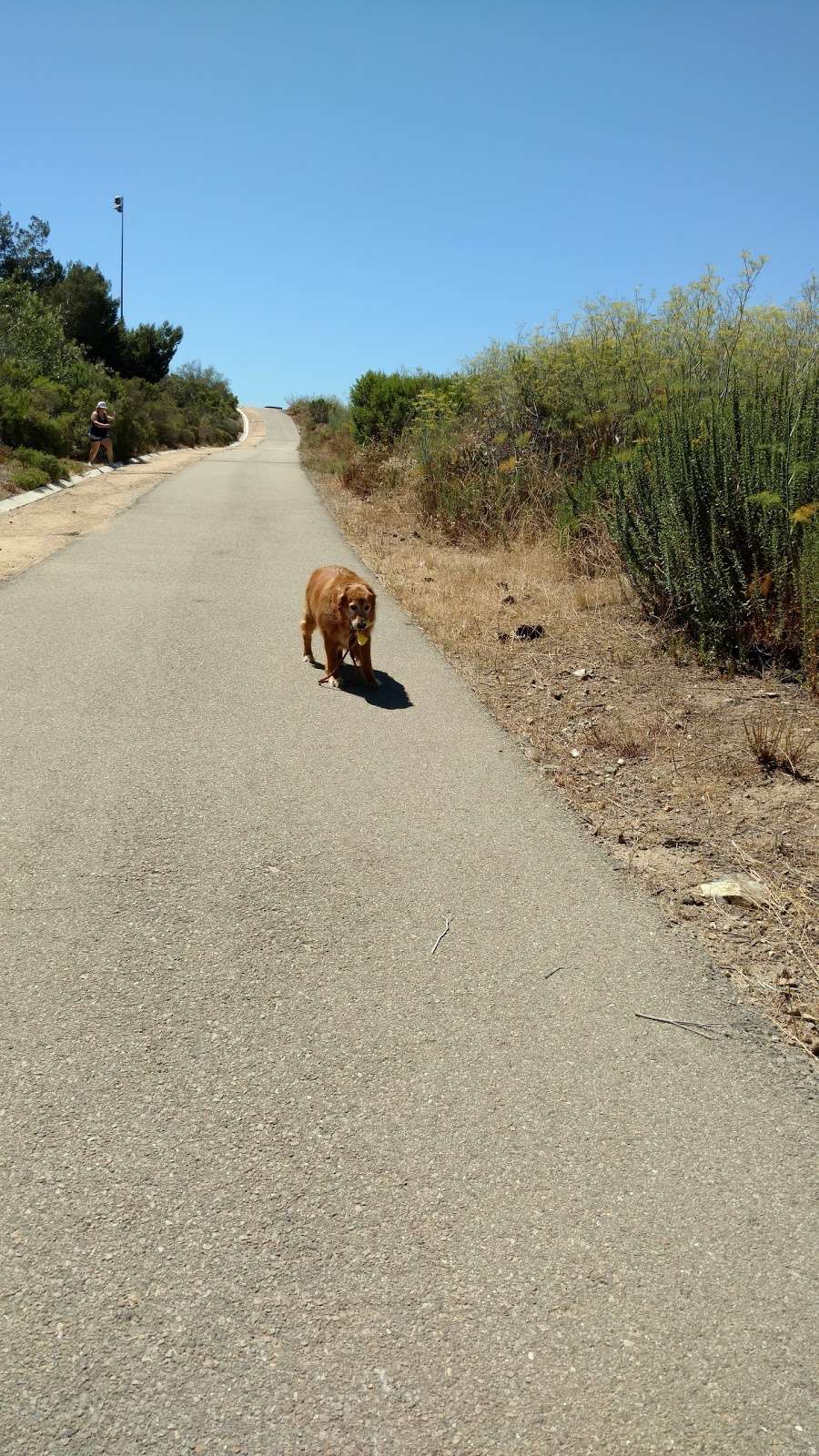 San Elijo Hills Dog Park | San Elijo Rd N, San Marcos, CA 92078, USA