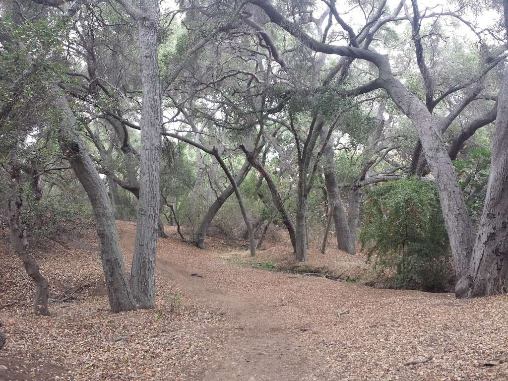 Los Robles Open Space | Thousand Oaks, CA 91361, USA