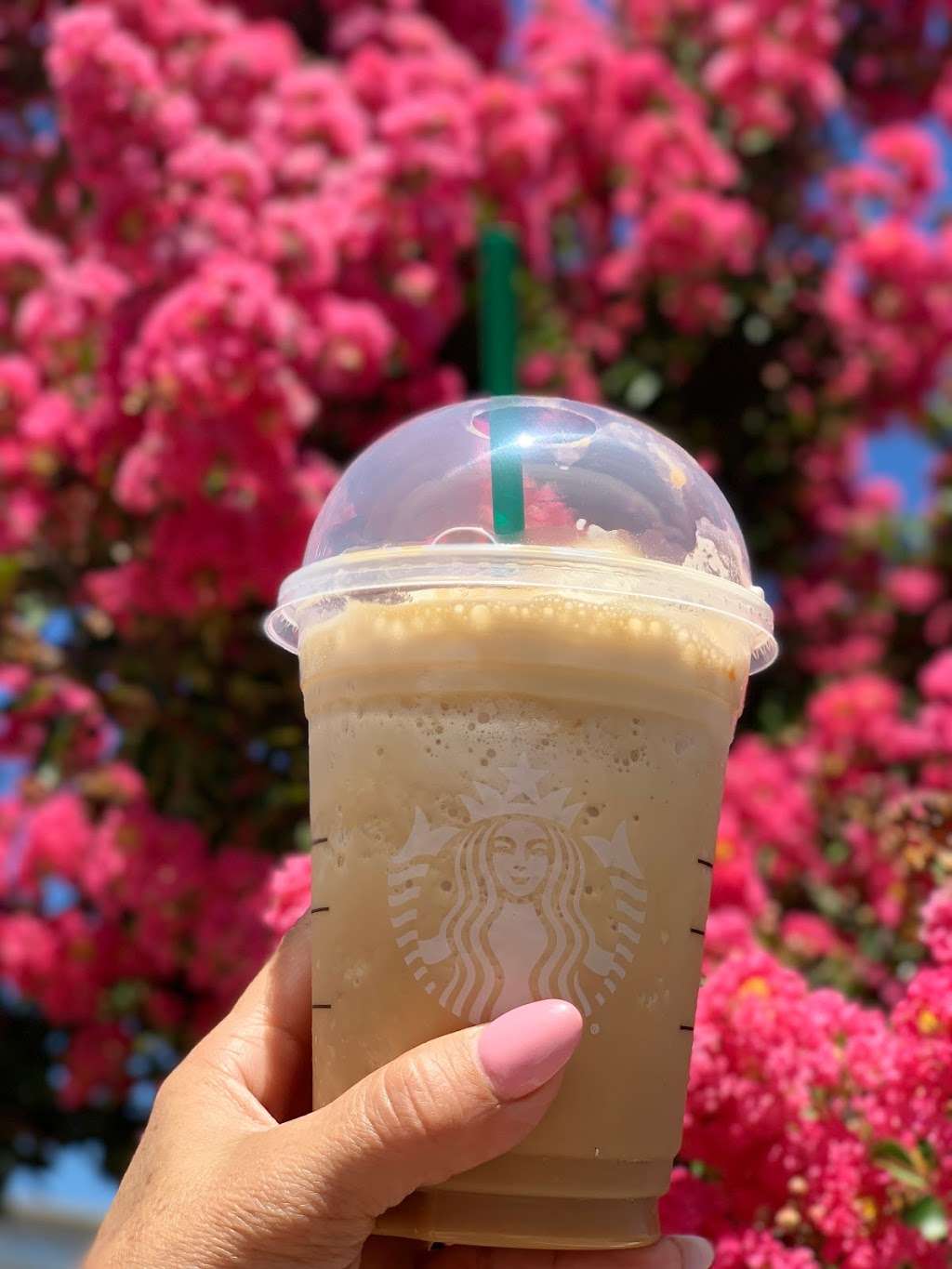 Starbucks | 1041 E Capitol Expy, San Jose, CA 95121, USA | Phone: (408) 362-4583