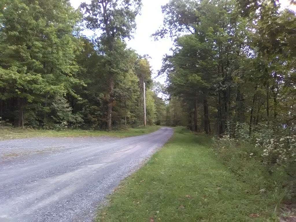 Sideling Hill State Forest Picnic Area | 2371 Lincoln Hwy, Breezewood, PA 15533, USA