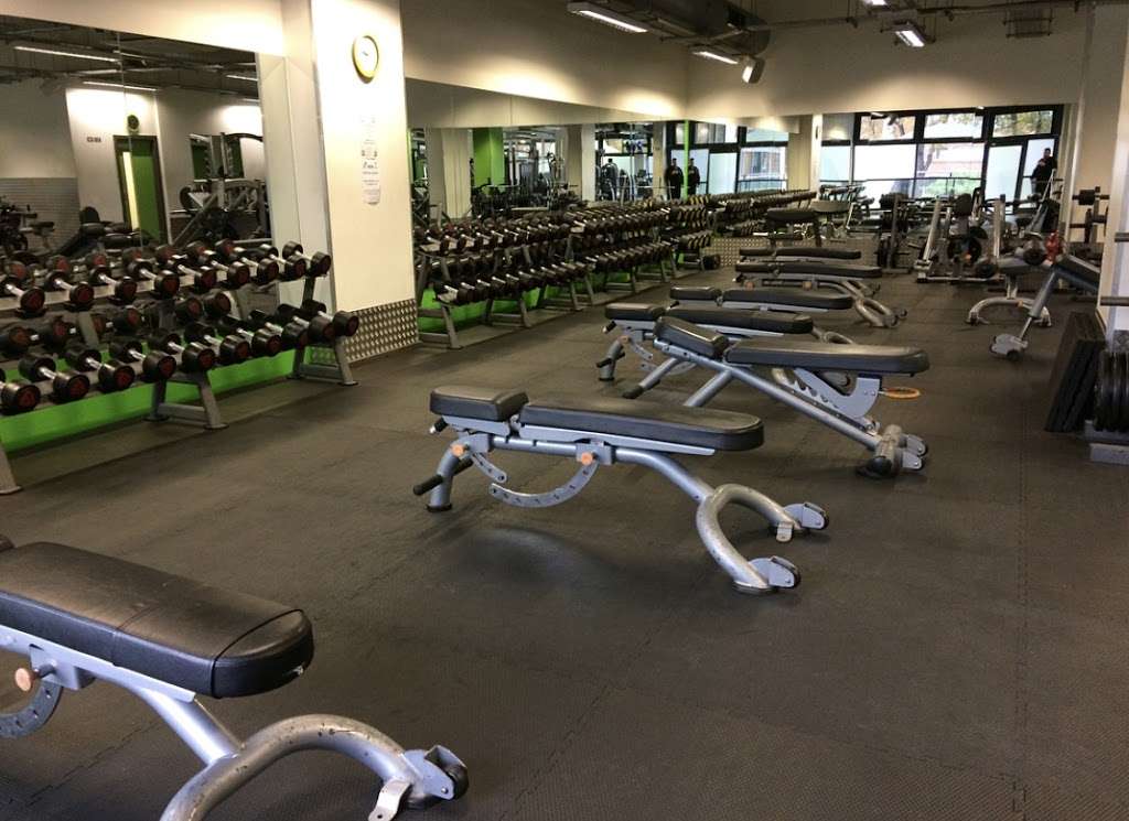 Go Gym Sutton | 6 Sutton Park Rd, Sutton SM1 2GD, UK | Phone: 020 8770 7636