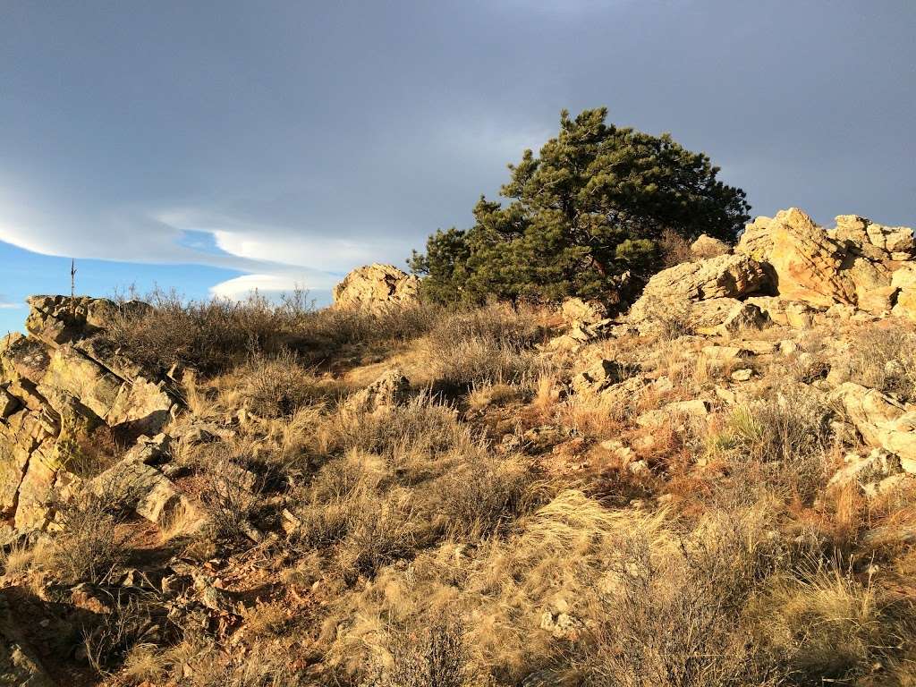 Coyote Ridge Natural Area | Spring Mesa Rd, Fort Collins, CO 80526, USA | Phone: (970) 416-2815