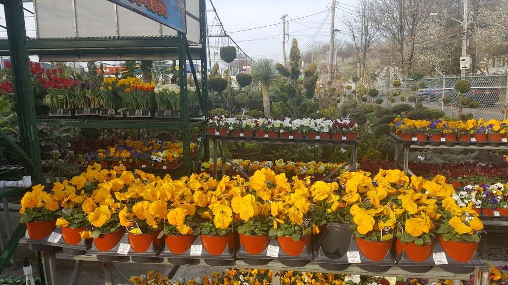 Umberto Garden Center | 1815 Arthur Kill Rd, Staten Island, NY 10312, USA | Phone: (718) 356-4564