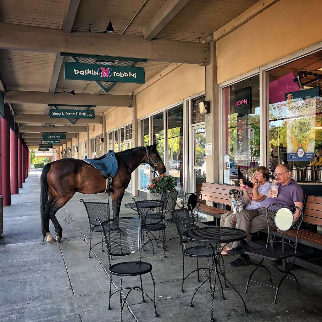 Baskin-Robbins | 130 Calistoga Rd, Santa Rosa, CA 95409, USA | Phone: (707) 538-1331