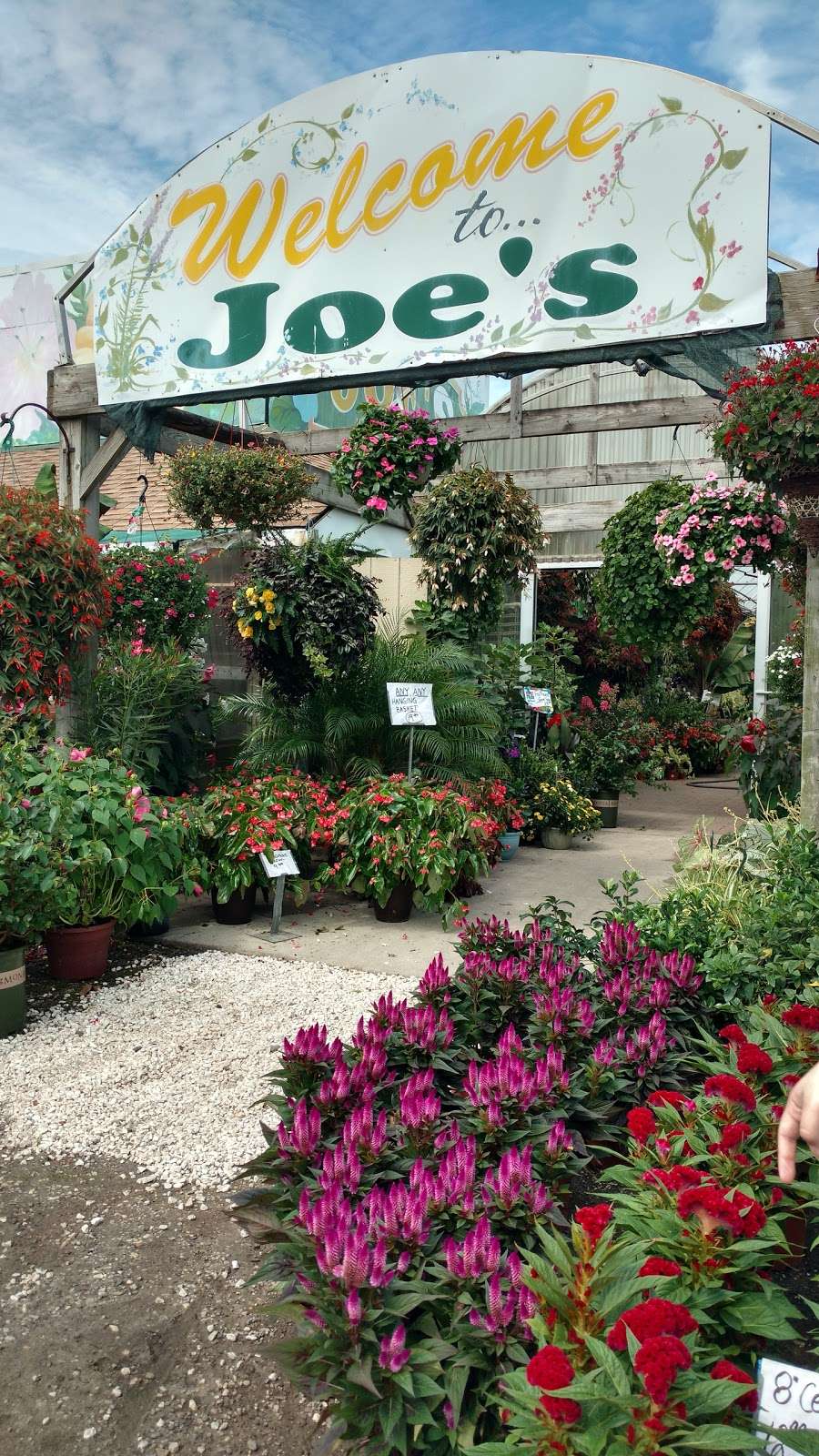 Joes Farm Market | 171 W White Horse Pike, Galloway, NJ 08205 | Phone: (609) 652-8515