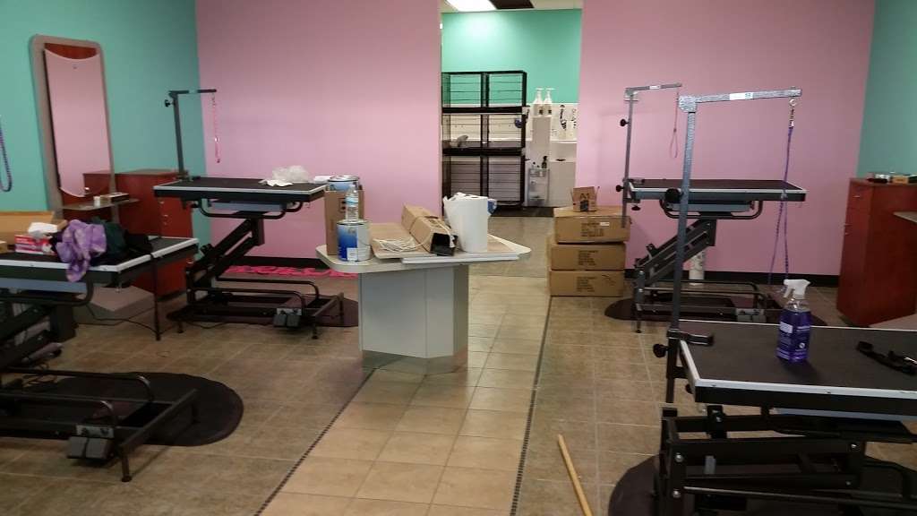 Barkingdales Pet Salon | 2905 Canoe Creek Rd, St Cloud, FL 34772, USA | Phone: (407) 593-6958 Barkingdales Pet Salon | 2905 Canoe Creek Rd, St Cloud, FL 34772, USA | Phone: (407) 593-6958