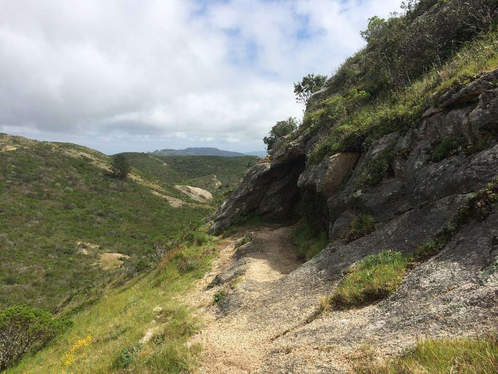 Montara Mountain | Gray Whale Cove Trail, Pacifica, CA 94044, USA