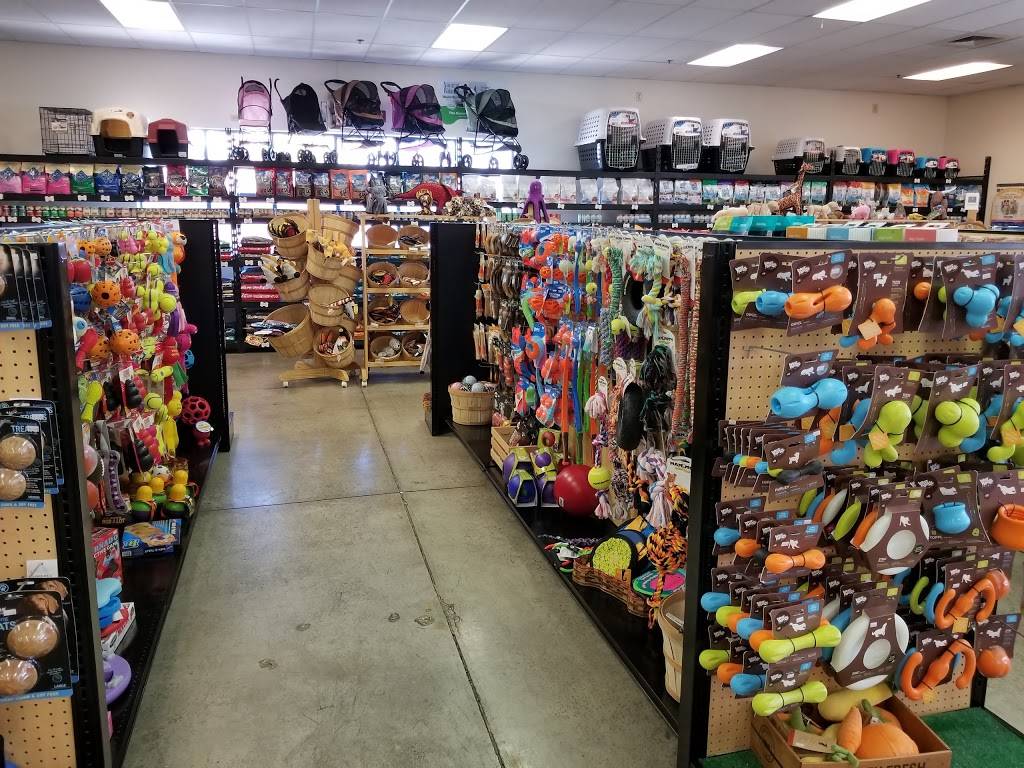 Scraps Dog Company | 7675 S Virginia St, Reno, NV 89511, USA | Phone: (775) 853-3647