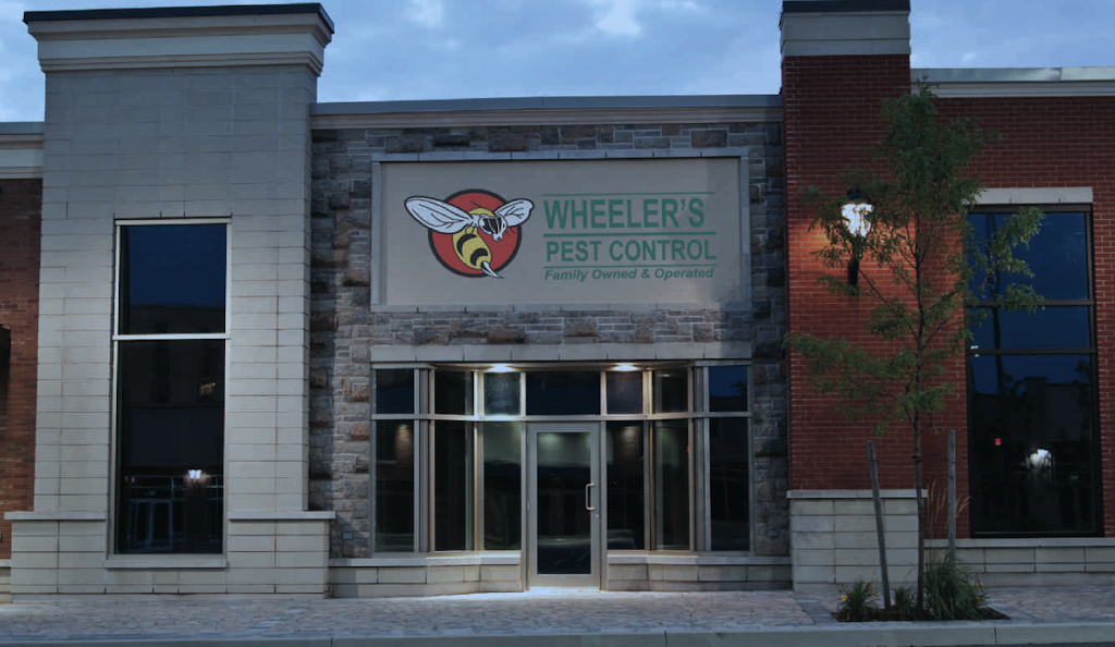 Wheelers pest Control | 35466 Azalea Cir, Winchester, CA 92596, USA | Phone: (951) 681-2847