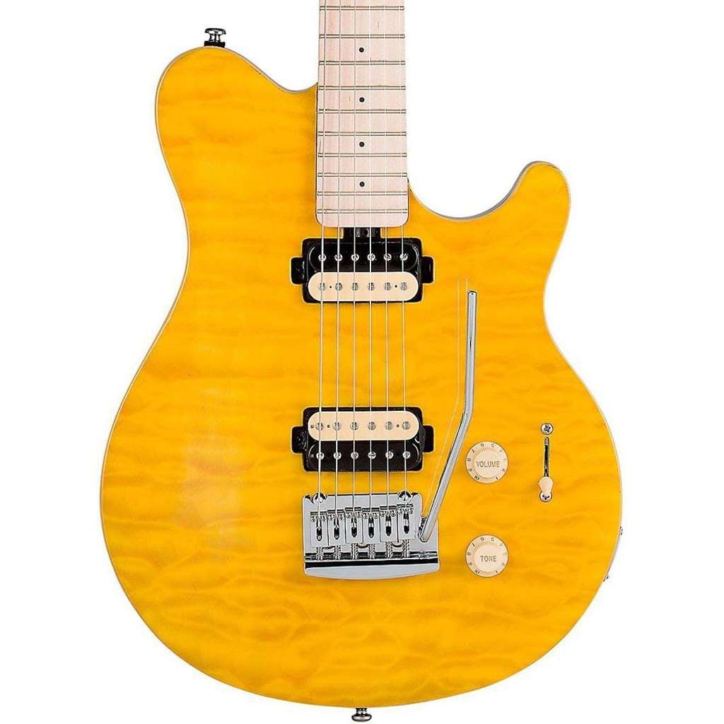 skencton guitars | 234-240, PA-435, Clifton Township, PA 18424, USA