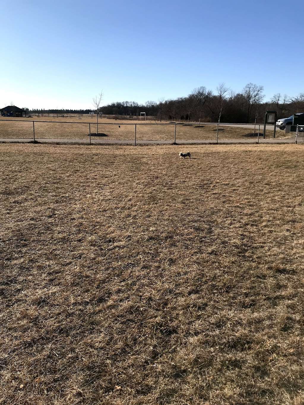 Jean Jacobson Dog Park | 304 S Rochester St, Burlington, WI 53105, USA