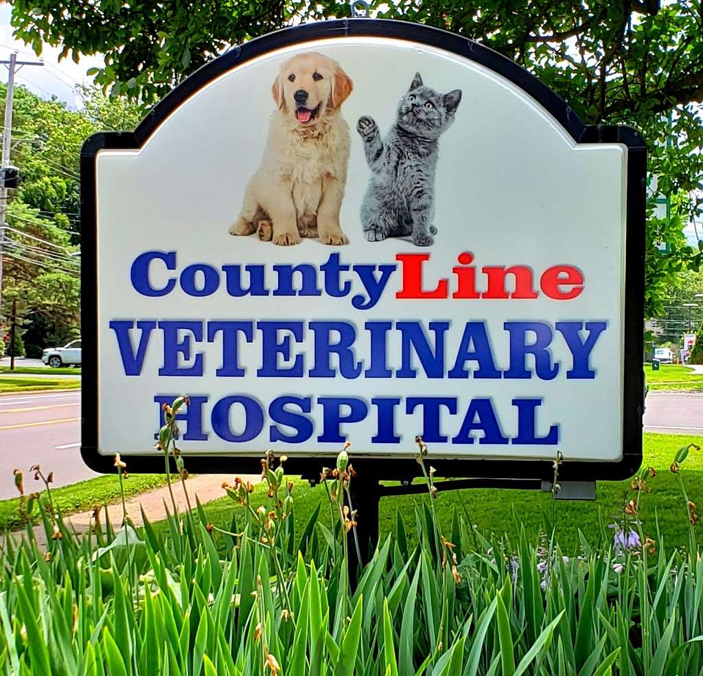 County Line Veterinary Hospital | 325 W County Line Rd, Hatboro, PA 19040, USA | Phone: (215) 675-0533