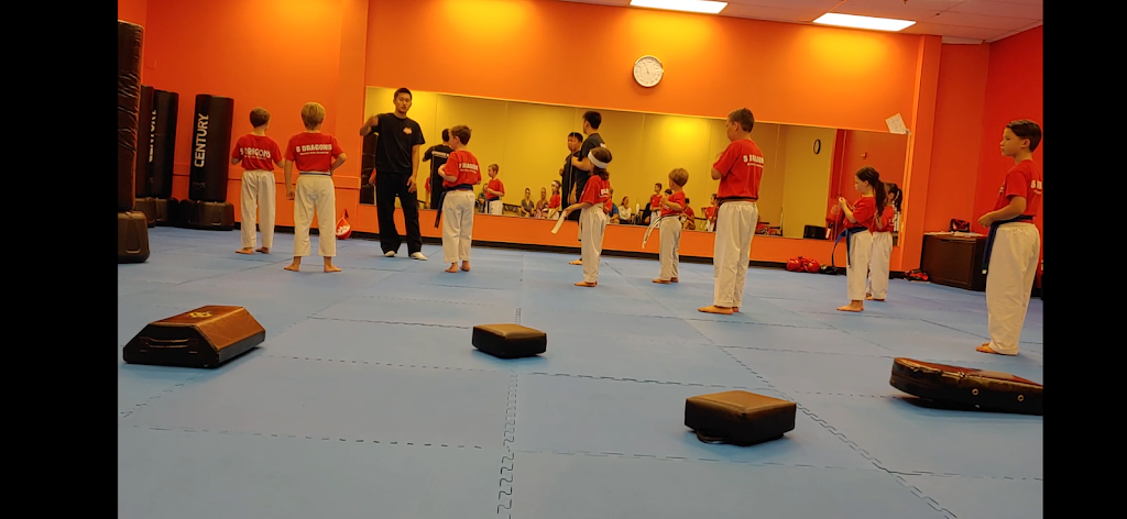 5 Dragons Martial Arts Academy | 6 Merrill St, Salisbury, MA 01952, USA | Phone: (978) 905-6013