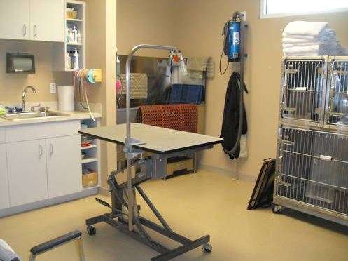 Cocoa Veterinary Hospital | 2325 FL-524, Cocoa, FL 32926, USA | Phone: (321) 636-2230