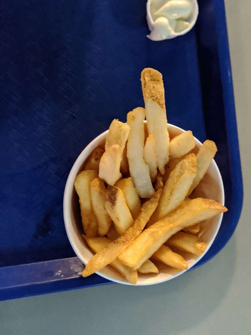 Moon Rock Cafe | Florida, USA