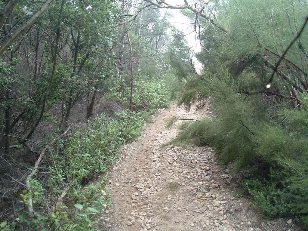 Sandstone Trailhead | 12869 Yerba Buena Rd, Malibu, CA 90265