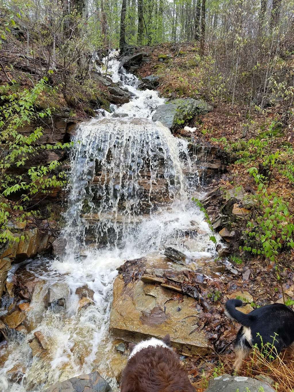 State Game Lands Number 57 | 712 Rte. 6 E, Tunkhannock, PA 18657, USA