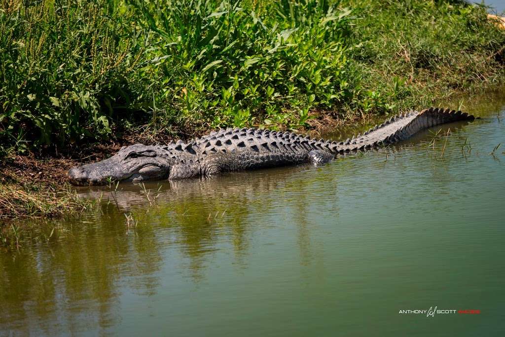 Carter Road Mountain Bike Trails | Bartow, FL 33830, USA