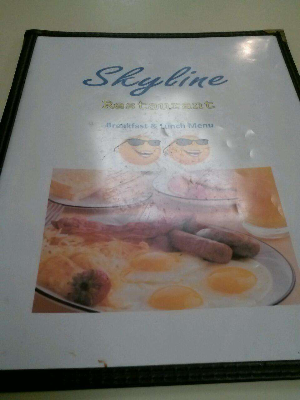 Skyline Restaurant | 5655 Chew Ave, Philadelphia, PA 19138, USA | Phone: (215) 849-0170