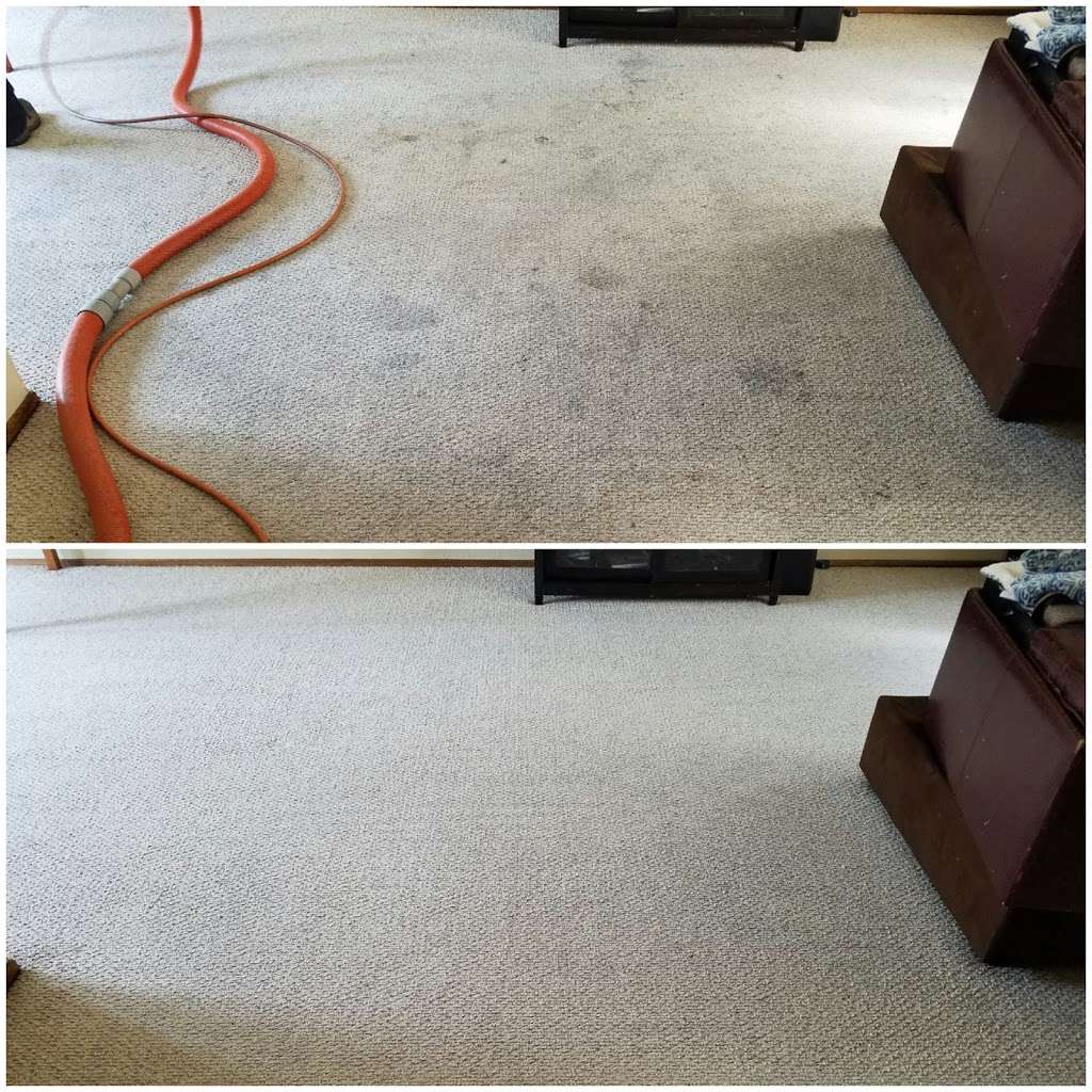 Elite Carpet Care | 607 Hermitage St, San Jose, CA 95134 | Phone: (408) 449-3382