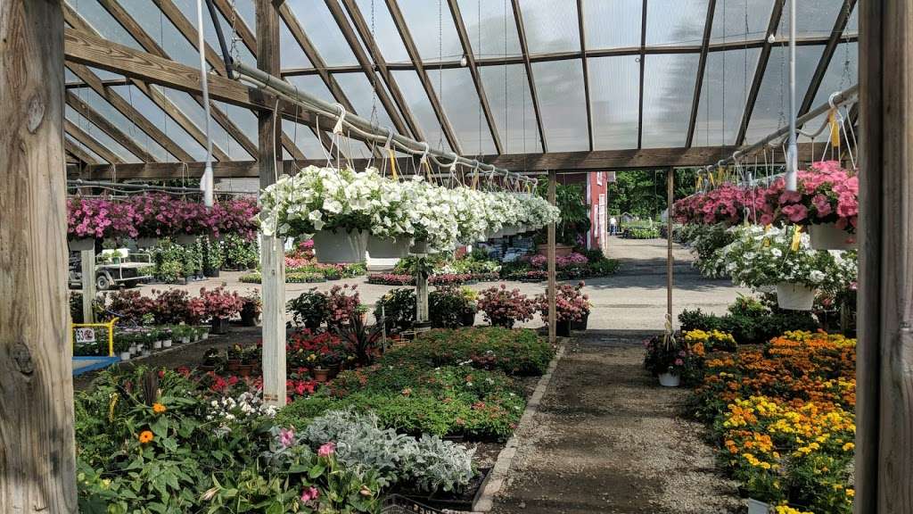 Hollandia Nurseries | 103 Old Hawleyville Rd, Bethel, CT 06801 | Phone: (203) 743-0267