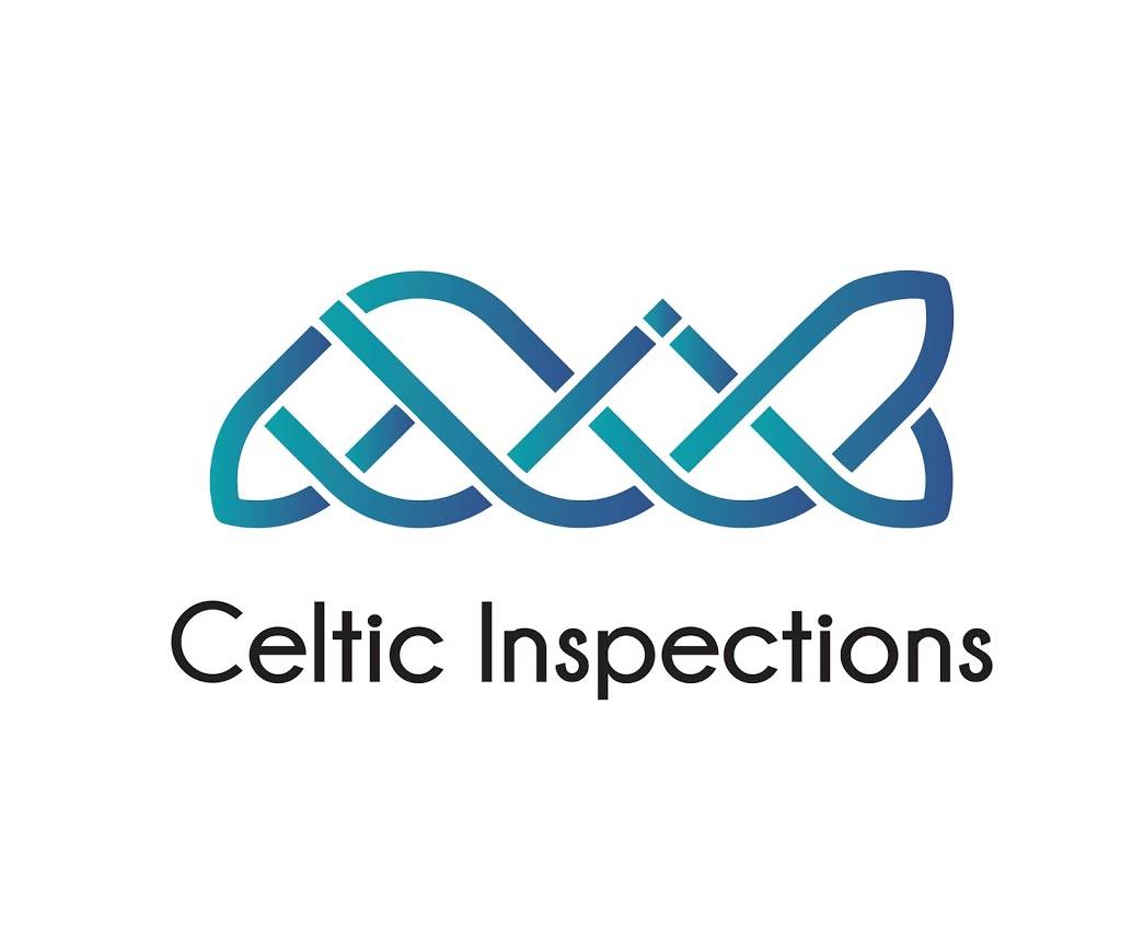 Celtic Pest Inspections and Control Services Inc. | 2900 Vassar Street, Ste CC26, Reno, NV 89502, USA | Phone: (775) 348-7445