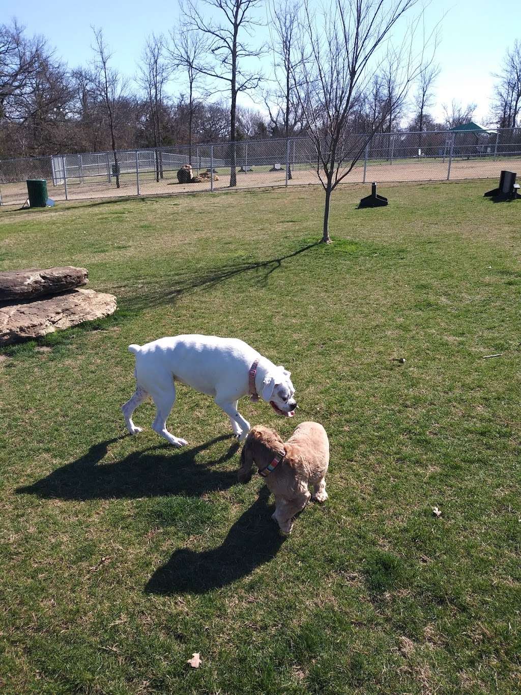 Hound Mound Dog Park | 1202 S Garden Ridge Blvd, Flower Mound, TX 75028, USA | Phone: (972) 874-6300