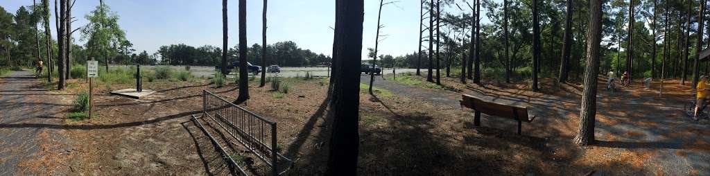 Walking dune trail Parking | Lewes, DE 19958