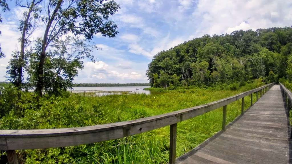 Voorhees Nature Preserve | Colonial Beach, VA 22443, USA