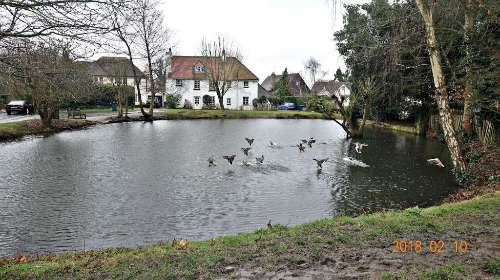 Darlands Lake Nature Reserve | London N20 8PY, UK