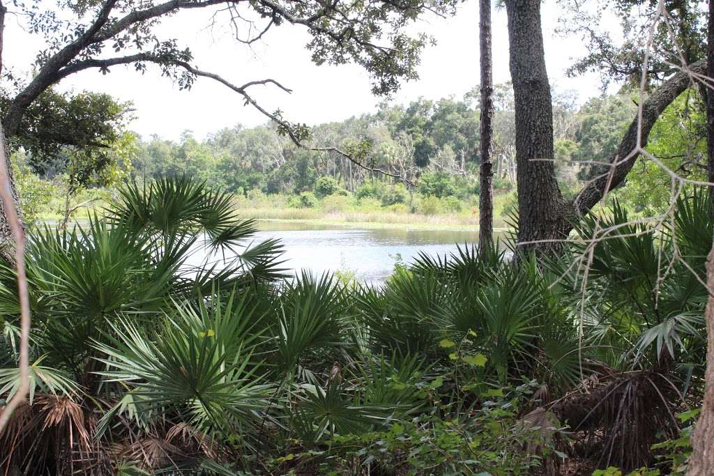 Lake May Reserve | 36300 County Rd 44A, Eustis, FL 32736 | Phone: (352) 253-4950