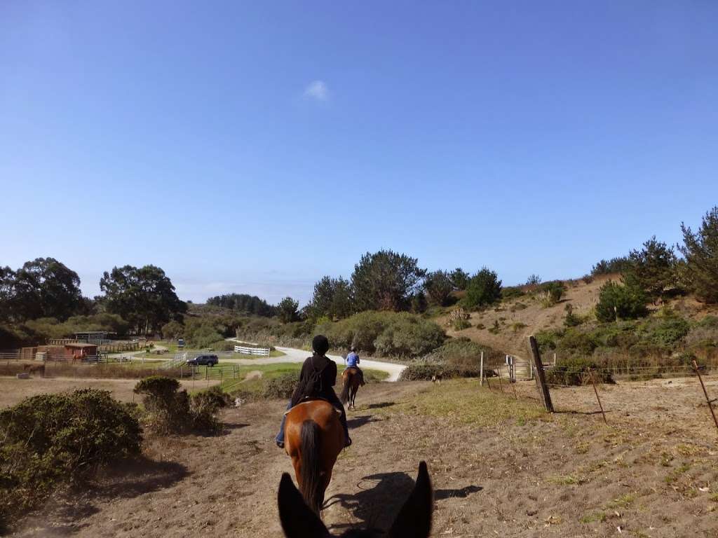 Moss Beach Ranch | 1862 Etheldore St, Moss Beach, CA 94038 | Phone: (650) 728-0700